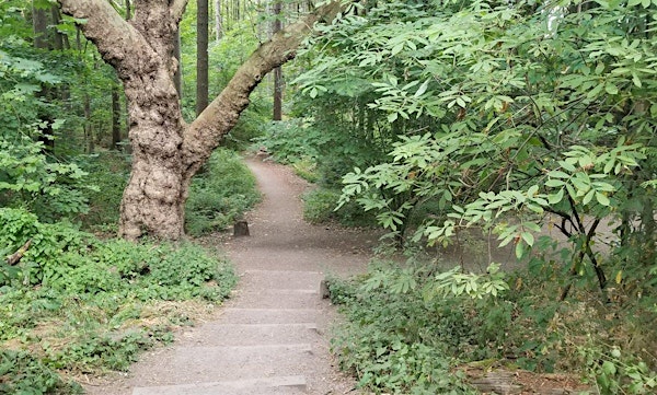 Explore the tranquil trails of Interlaken Park, starting your journey at 19th Avenue East and East Galer Street.