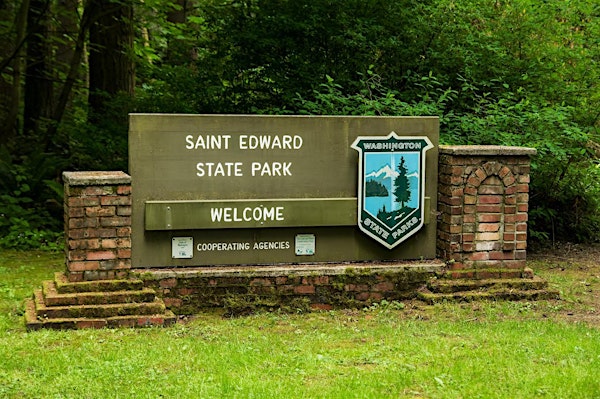 Volunteers removing invasive species at Saint Edward State Park during a restoration work party.
